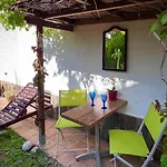 Apartment Garden *