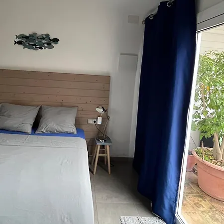 Garden 시체스