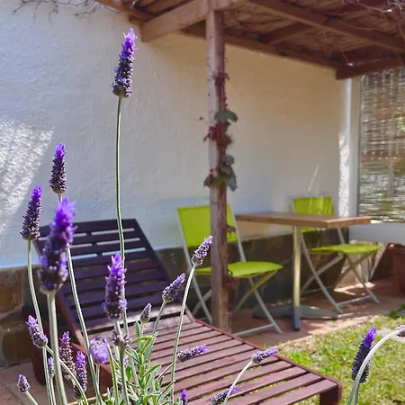 Apartament Garden