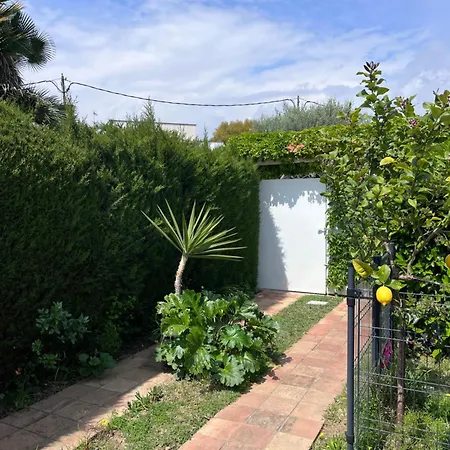 Garden * Сіджас