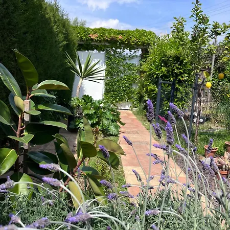 Garden * Sitges