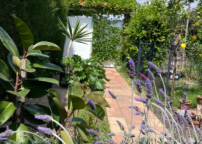 Garden * Sitges